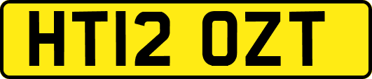 HT12OZT