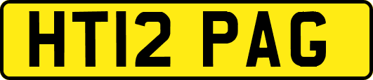 HT12PAG