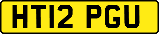 HT12PGU