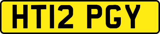 HT12PGY