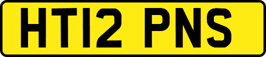 HT12PNS