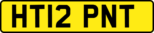 HT12PNT
