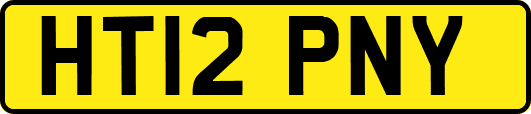 HT12PNY