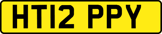 HT12PPY