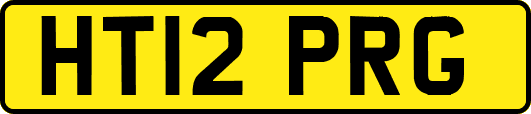 HT12PRG
