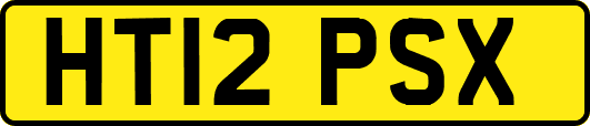 HT12PSX