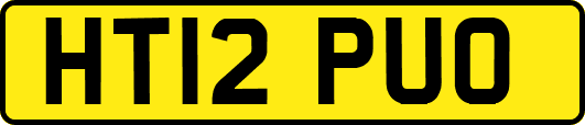 HT12PUO