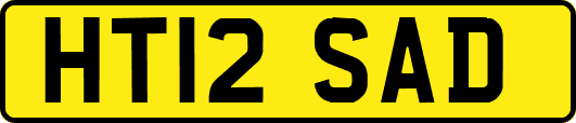 HT12SAD