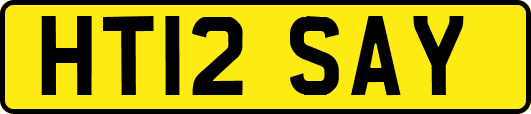 HT12SAY