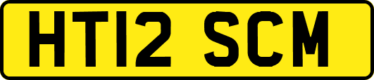 HT12SCM