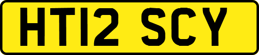 HT12SCY