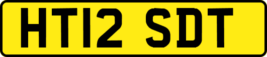 HT12SDT