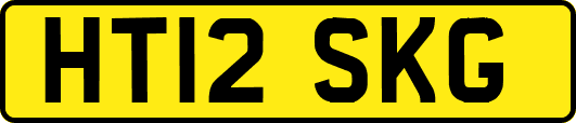 HT12SKG
