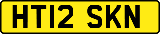 HT12SKN
