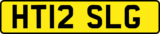 HT12SLG
