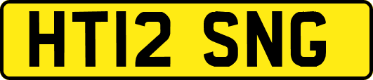 HT12SNG