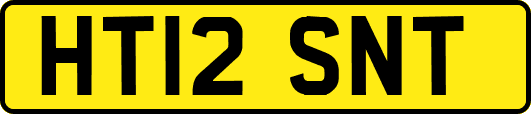HT12SNT