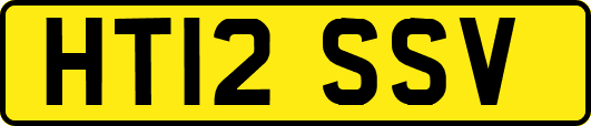 HT12SSV