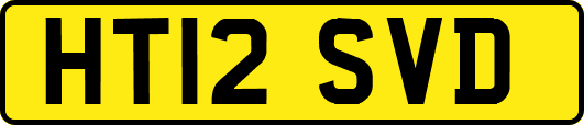 HT12SVD