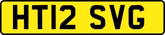 HT12SVG
