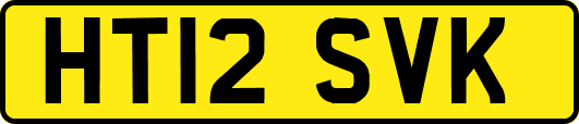 HT12SVK