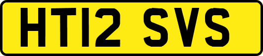 HT12SVS