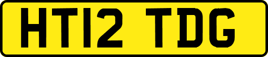 HT12TDG