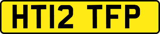 HT12TFP
