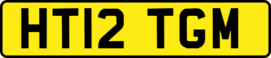 HT12TGM