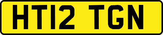 HT12TGN