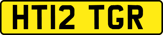 HT12TGR