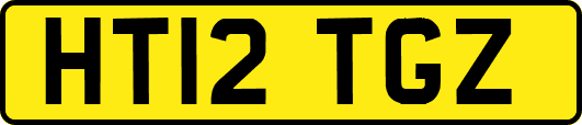 HT12TGZ