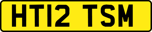 HT12TSM