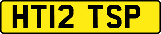 HT12TSP