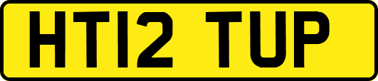 HT12TUP