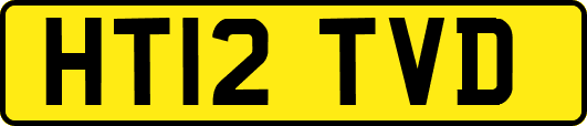 HT12TVD