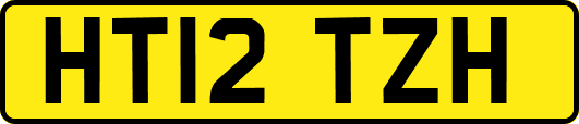 HT12TZH