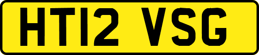 HT12VSG
