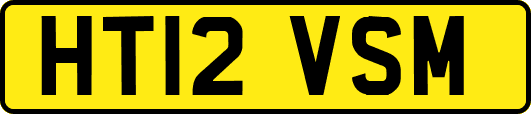 HT12VSM