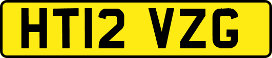 HT12VZG