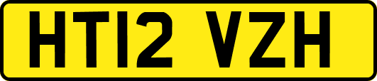 HT12VZH