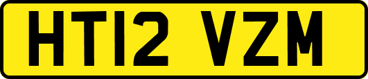 HT12VZM
