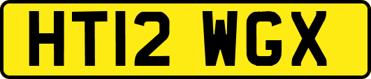 HT12WGX