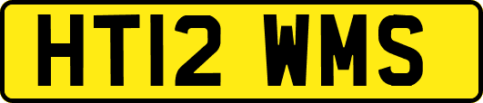 HT12WMS