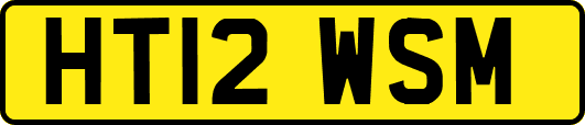 HT12WSM