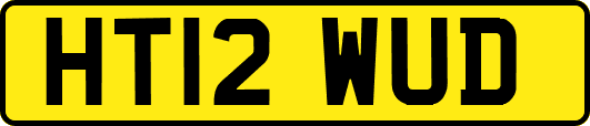 HT12WUD
