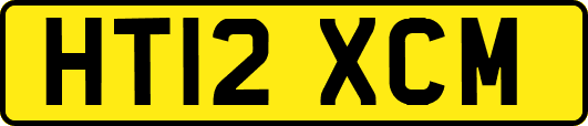 HT12XCM