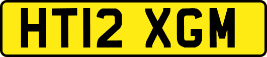 HT12XGM