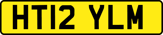 HT12YLM