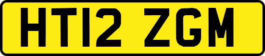 HT12ZGM